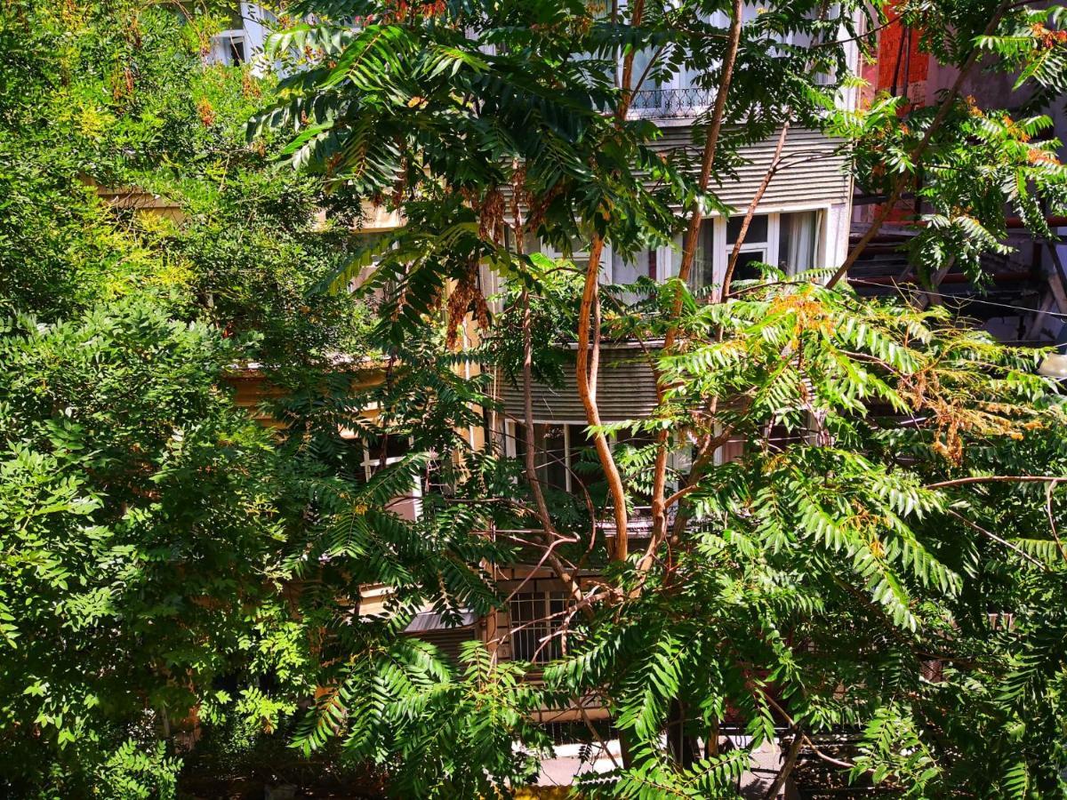gafa garden Hostel Istanbul Eksteriør billede