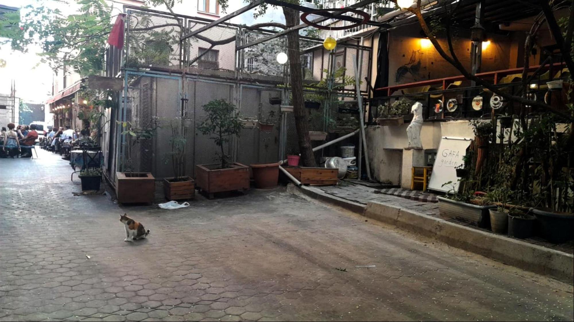 gafa garden Hostel Istanbul Eksteriør billede